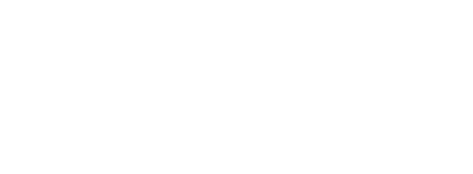 Homann Solar